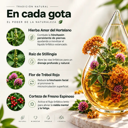Drenaje Linfático – Gotas Naturales · Reduce la Hinchazón y Siéntete Más Ligera